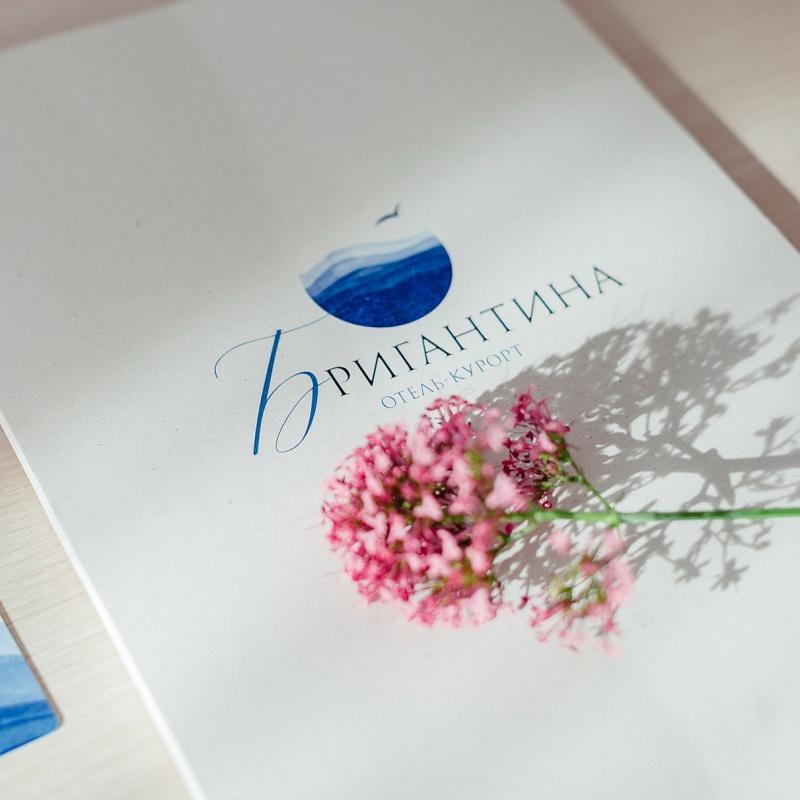 Стандарт +